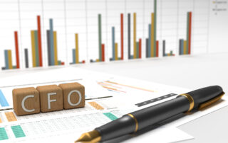 CFO have what you need to succeed